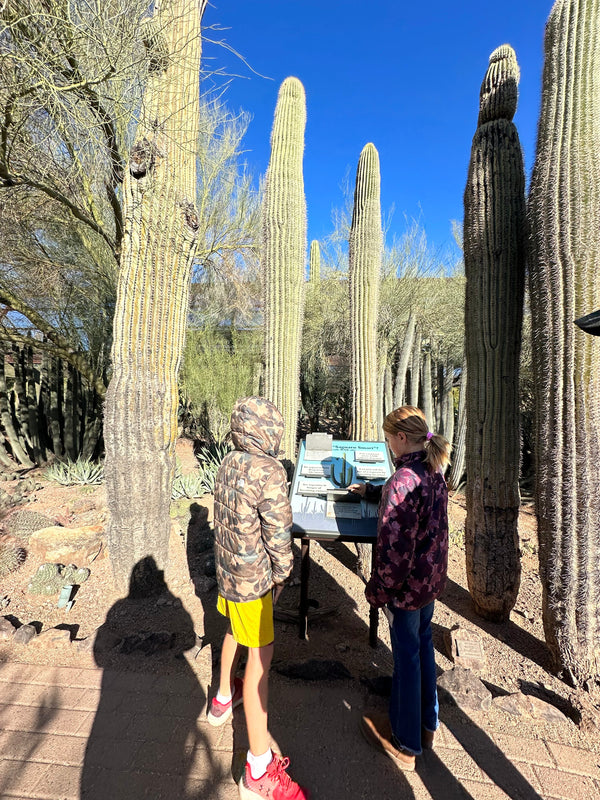 Phoenix Arizona free things to do
