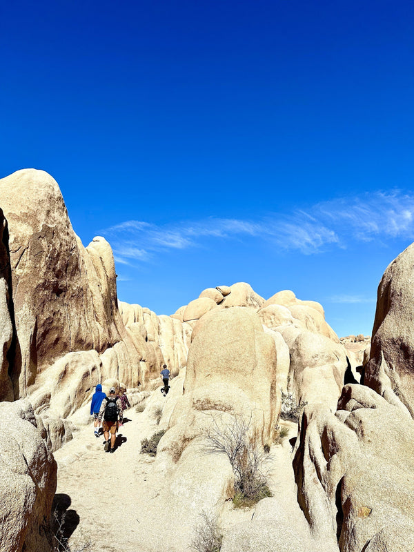 Joshua Tree National Park with kids