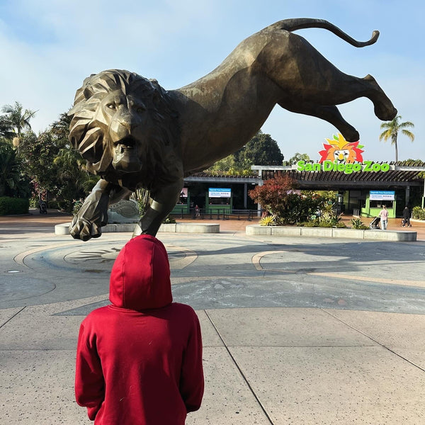 A Family-Friendly Guide to the San Diego Zoo - b.e.happe