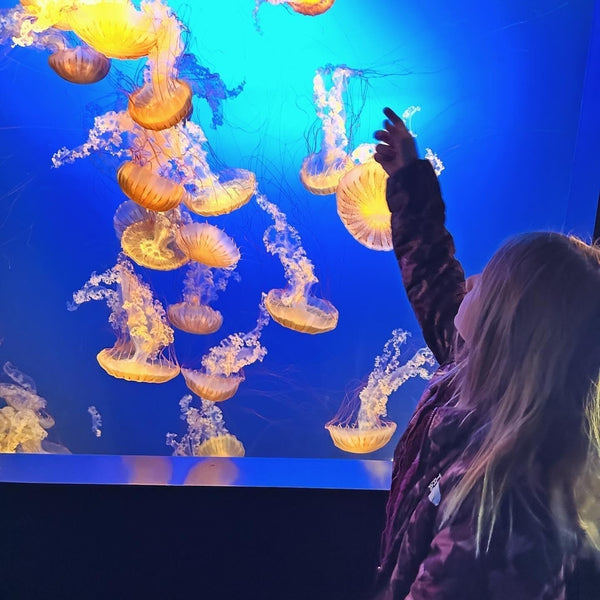 Experience Omaha: A Family-Friendly Destination - b.e.happe