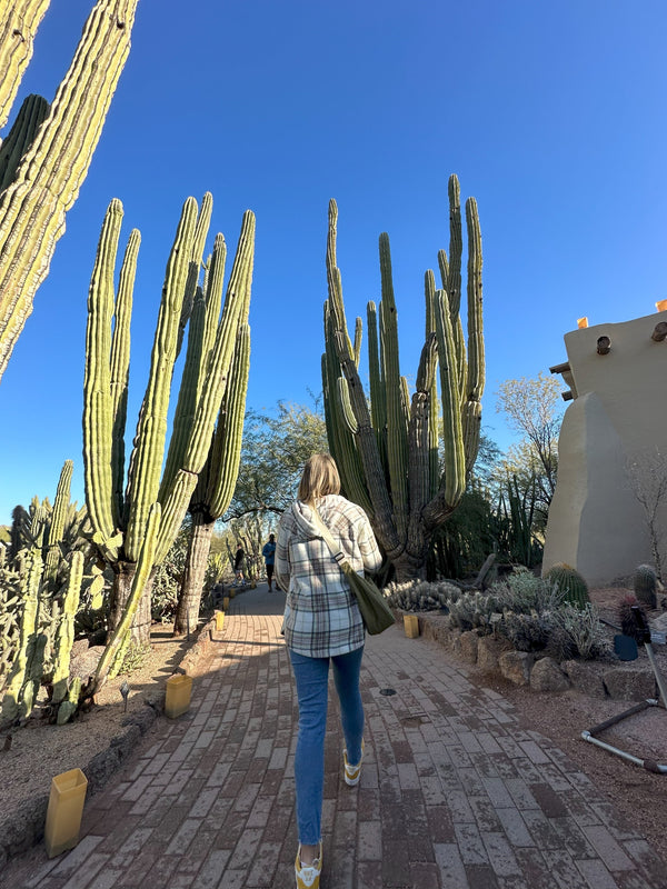 Family-Friendly Places in Scottsdale, Arizona - b.e.happe