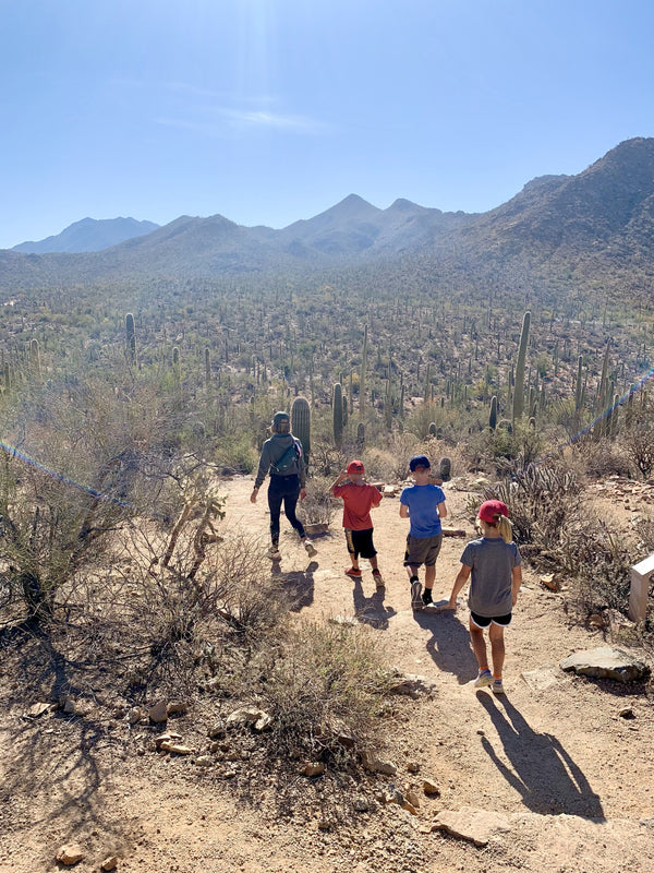 Kid Friendly Hikes in Saguaro National Park, Arizona - b.e.happe