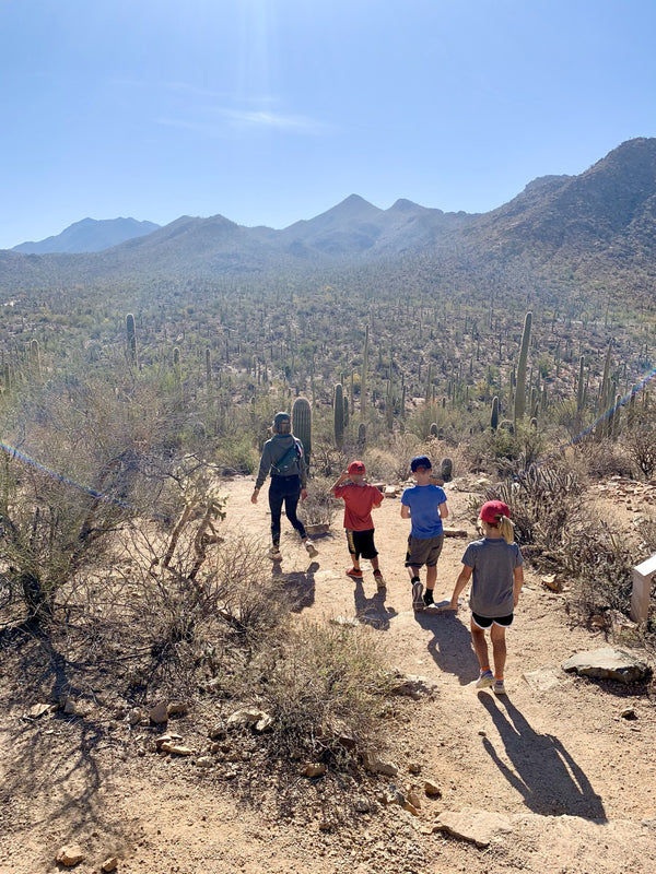 Saguaro National Park with kids